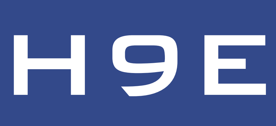 H9E Informática